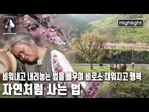 '자급자족 내 밥상' 자연요리연구가 문성희 | 자연의 철학자들 11부 '덜어내니, 비로소 편안해지네' (KBS 20220610 방송)