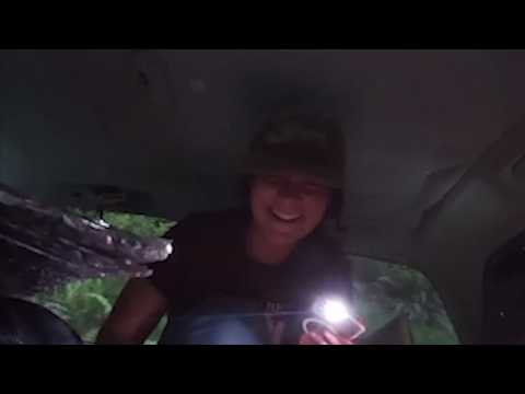 5 Shocking Videos of Campers