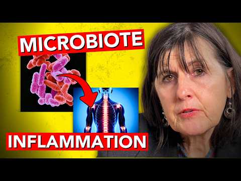 Ce que personne ne comprend à propos du MICROBIOTE et de l'INFLAMMATION [Dr Clément]