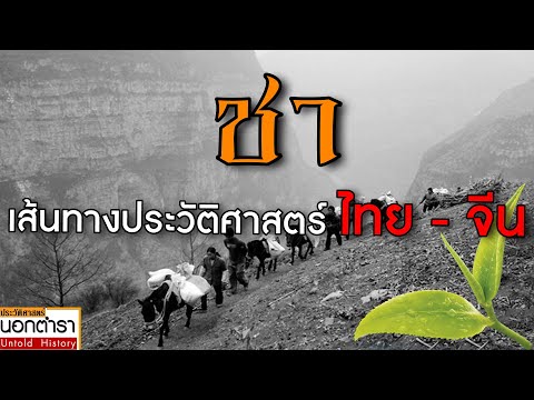 เปิดประวัติศาสตร์ชาพันปี และเส้นทางชาไทย- จีน I ประวัติศาสตร์นอกตำรา EP.116