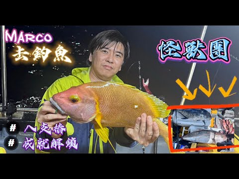【釣魚篇】#33 八支樁巨物團🤪手繩硬拉巨物🤪我又好好彩執番條靚魚🤗