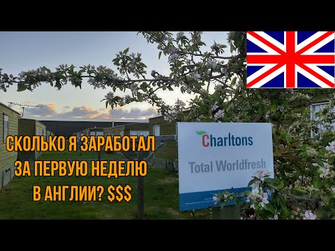 ПЕРВАЯ ЗАРПЛАТА И ВПЕЧАТЛЕНИЯ О РАБОТЕ.