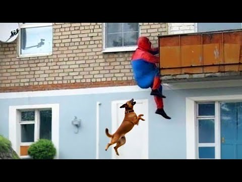 TRY NOT TO LAUGH 😆 Best Funny Videos Compilation 😂 PART 24