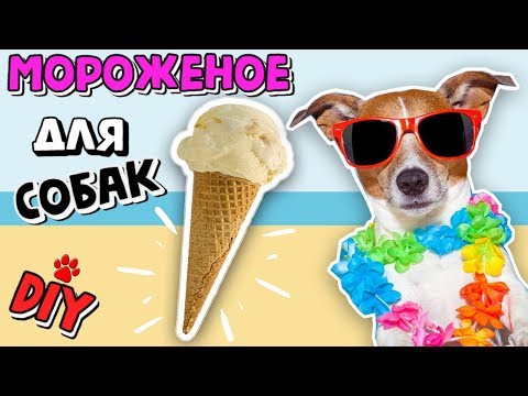 🍦ЗАМОРОЖЕННЫЕ ЛЕТНИЕ ВКУСНЯШКИ ДЛЯ СОБАК СВОИМИ РУКАМИ | Darina Sweet DIY