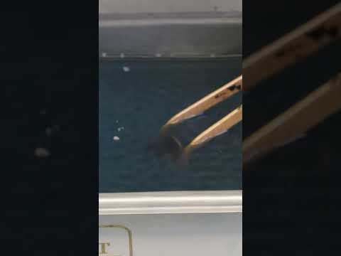 Laser Cleaning Old Coins Part 2!