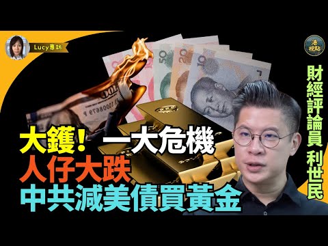 財經評論員#利世民（3）：如果中共冇美金會有咩危機 迷失嘅經濟 老共減美債 買黃金 人仔大貶值 之謎#人民幣 #美元