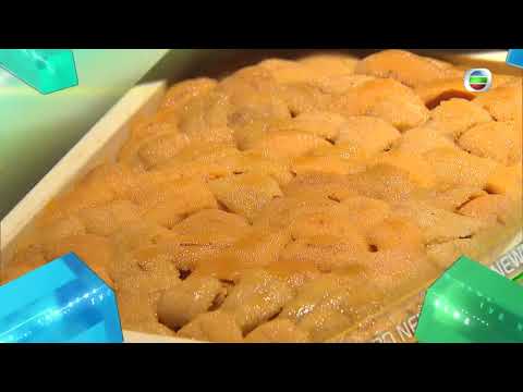 香港無綫｜7:30一小時新聞｜2023年6月8日｜