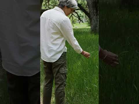 Do This to AVOID Burnout  #shorts