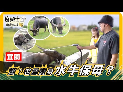🔎《姆士尋寶去》驚！老詹變身水牛保母？宜蘭「牛頭司親子農場」餵牛吃草、牛柴爆米花體驗！牛糞當柴火爆的爆米花完全不臭，還能DIY體驗磨豆漿作豆花、磨米漿製作米苔目，享受傳統農村美食體驗！