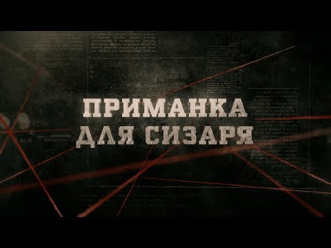 Приманка для Сизаря | Вещдок