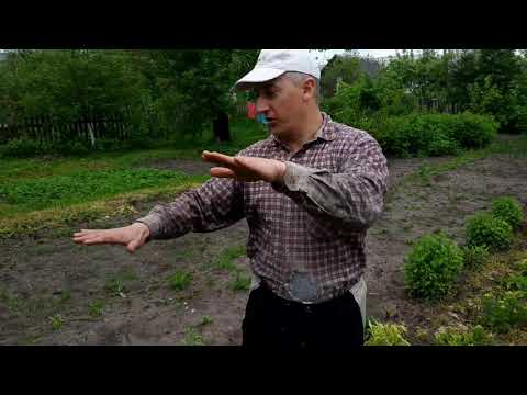 Почему я больше не держу кроликов в яме?