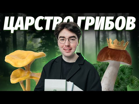Коротко о царстве грибов: ВСЕ, что нужно знать для ОГЭ по биологии | Умскул