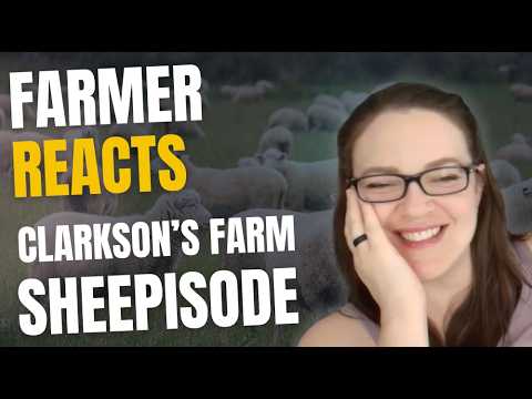 Farmer Reacts To Clarkson's Farm Sheep Episode