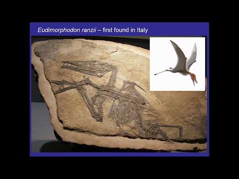 Over the Heads of Dinosaurs: Pterosaurs