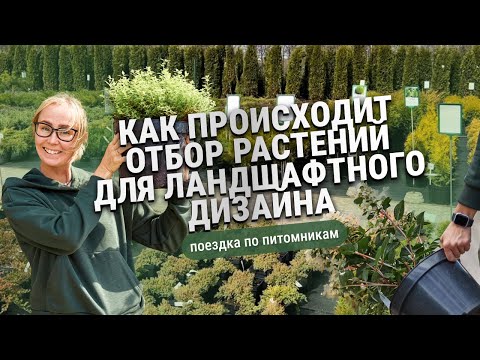 Как происходит отбор растений для ландшафтного дизайна. Поездка по питомникам.