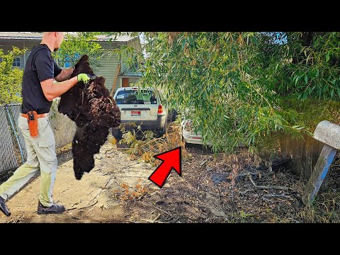 Task More SUITED For A HAZMAT Team But I Got INVOLVED