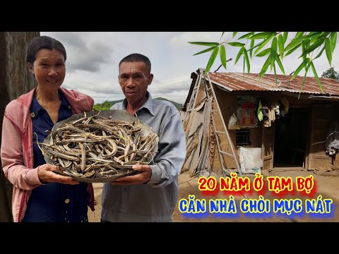 2 VỢ CHỒNG nghèo sống tạm bợ trong CĂN NHÀ đất cũ nát - tập 1595