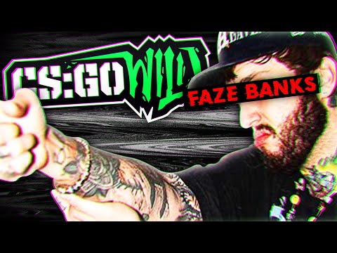 CSGOWild: The Scam that Got Away