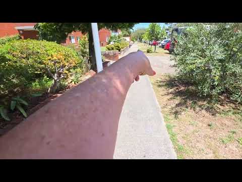 Summer has crept up on me. Life in Australia, Ella Australia