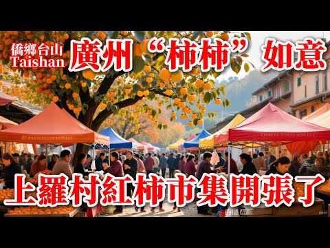 廣州 Guangzhou 從化上羅村多種雞心柿被稱紅柿村丨11月柿子成熟上市紅柿市集開張遊客絡繹不絕丨農家風味午餐好味道丨2025年11月23日更新 #citywalk #cantonesefood