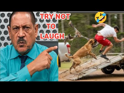 Try Not To Laugh Challenge🤣 | Crazy Funniest Video Ever In The World Ep. 46