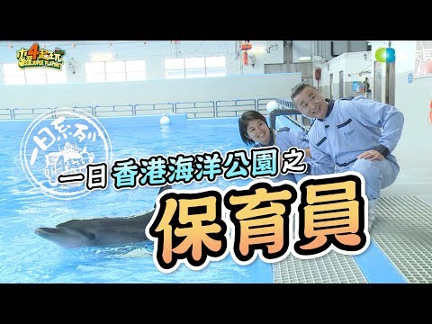 One Day Ecological Conservationist in  Hong Kong | Good Job, Taiwan! #63