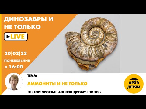 Занятие для детей "Аммониты и не только" кружка "Динозавры и не только" с Ярославом Поповым
