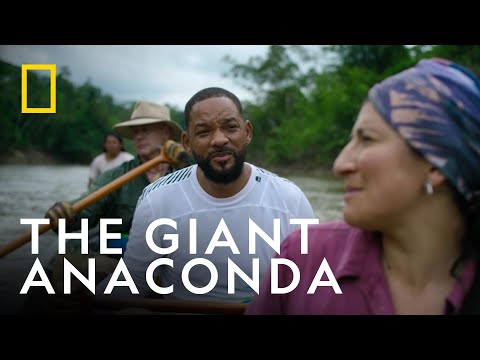 Searching for the World’s Biggest Snake | Pole to Pole with Will Smith | National Geographic UK