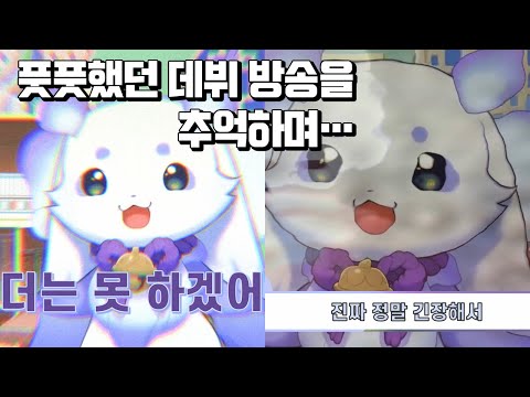 【룬룬/룬쵸마】데뷔 방송 다시보기