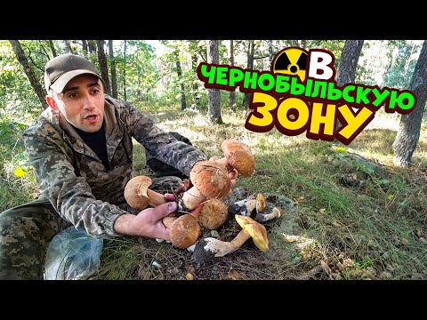 Поход Выживание во вторую Чернобыльской зону. Ловлю раков, собираю грибы.