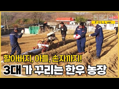 황소 같은 손자가 무려 넷! 3대가 꾸리는 한우 농장 🐂 | 오부자유친 | KBS 인간극장 2021 방송