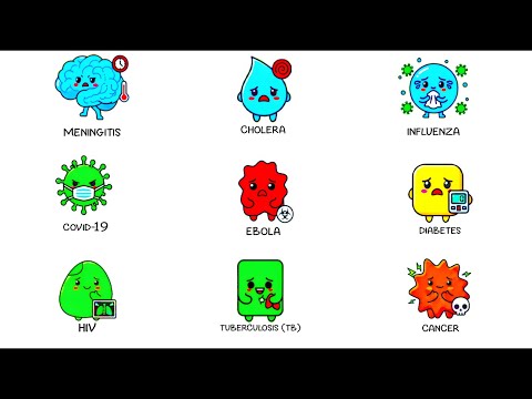 Every Bacterial Disease Explained in 10 Minutes 