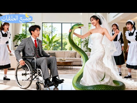 الـCEO البارد أرسل ثعابين لإخافة خطيبته، لكن المفاجأة أنها رقصت معها… فانجذب إليها!