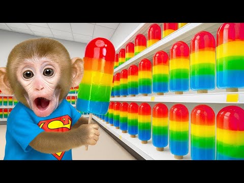 小猴子 BonBon 收穫綠葡萄 與兔子小狗的歡樂時光 - BonBon 台灣