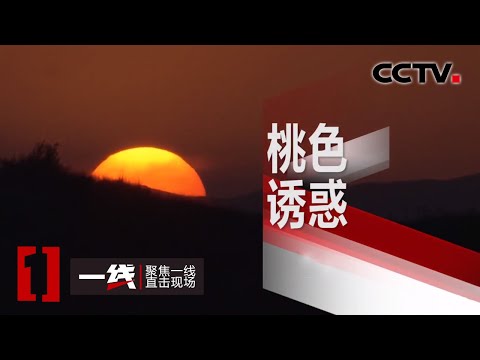 《一线》美女相约 以为的桃花好运 实则是精心设计的陷阱 20200504 | CCTV社会与法