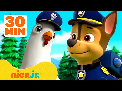 PAW Patrol Rescues Chickaletta! 🐔 w/ Chase & Rubble | 30 Minute Compilation | Nick Jr.