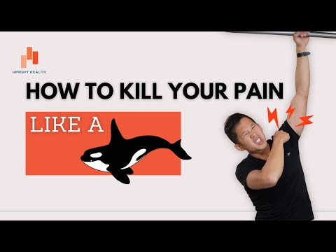 How to Fix Pain (Like a Killer Whale)