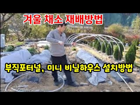 How to Reduce Pests and Diseases in Your Garden Next Year #WinterGardenManagement