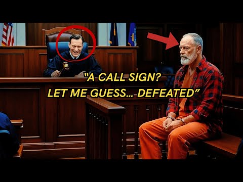 The Judge Asked the Homeless Veteran’s Call Sign as a Joke — Then “PHANTON HAWK” Made Him Pale