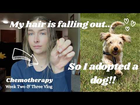 Week 2 & 3 Chemotherapy Vlog