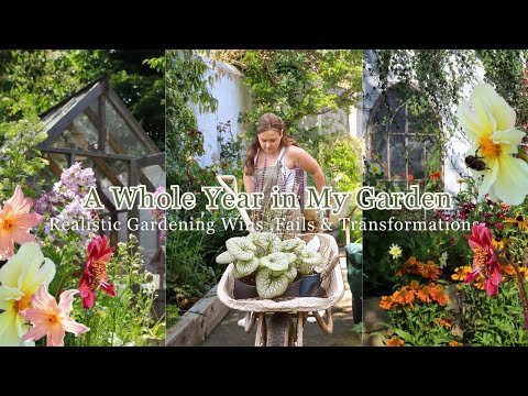 A Whole Year in My Cottage Garden: Highs, Lows, and Transformations 🌿