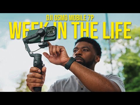 DJI Osmo Mobile 7P | Week in The Life Of A Full-Time Content Creator