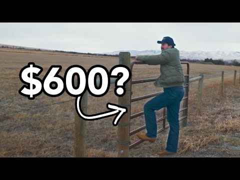 Why Are the Best 'Made in USA' Jeans $600?