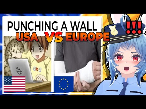 Can We stop Fighting? - USA VS EUROPE MEMES - Erundel Vtuber Reacts