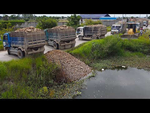 Great Process !! Delete Pond using 5ton NISSAN Trucks & Skills DR-51-PX Dozer