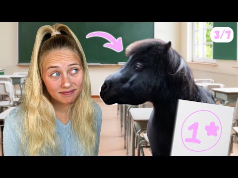 Mit den Ponys zur SCHULE! - OWWM Tag 3