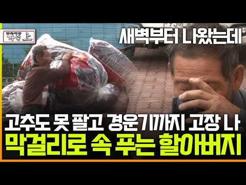 [멜로다큐 '가족' 396회 上] 새벽부터 나왔는데 고추도 못 팔고 경운기까지 고장 나 막걸리로 속 푸는 73살 할아버지