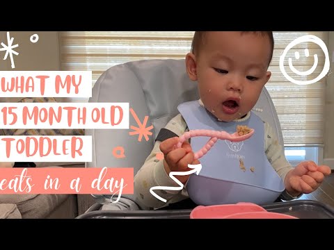15個月小小孩一天吃什麼｜What my 15 month old toddler eats in a day | 簡單的BLW 輔食｜小小孩食物 | 加州媽媽生活 | Vivi Yuan