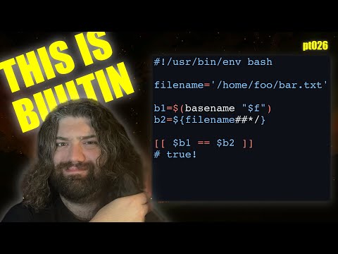 Basic Parameter Expansion in Bash - You Suck at Programming #026