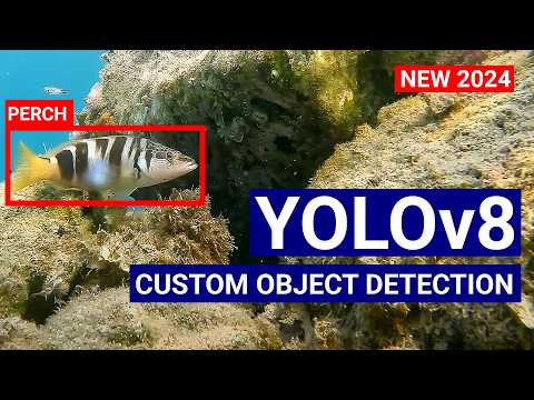 Train a YoloV8 model on Custom Dataset of Images